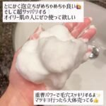 日本石泽研究所小苏打洗面奶清洁毛孔去黑头洁面100g - 图片 3
