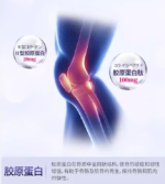野口软骨素300粒 - 图片 2