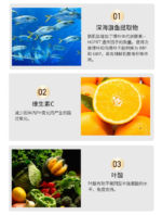 野口鹅肌肽甲肌肽精华提取物缓和控制嘌呤医学研究所酸痛风片90粒 - 图片 6