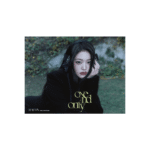 IVE 官方周边 - Ive jang won young - dicon volume n31 c type