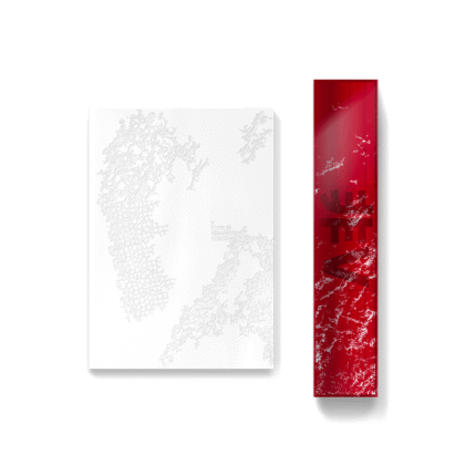 BTS 海报/贴纸 - BTS v - type 非 photobook+poster set