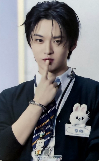 Stray Kids 小卡/拍立得 - Stray Kids SKZ Toy POB Photocards