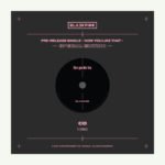 GG-KPOP-0002 详情图 3