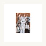 GG-KPOP-0008 主图